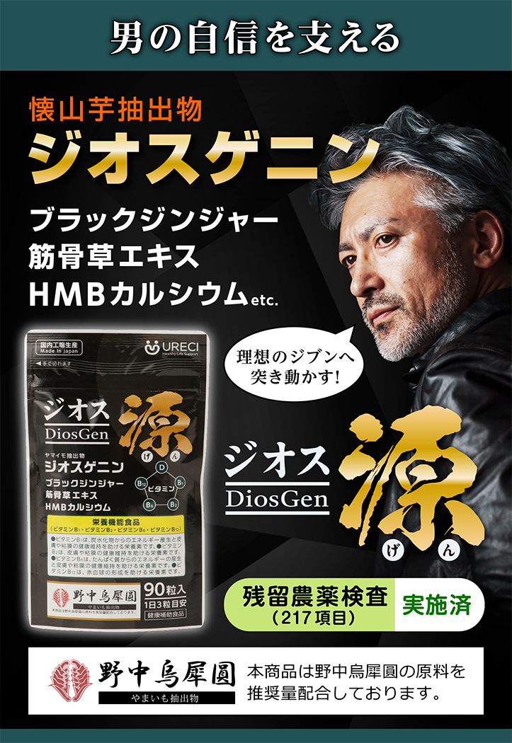 ジオス源90粒入り(6袋セット) ジオスゲニン サプリ サプリメント ヤマイモ抽出物 ブラックジンジャー 筋骨草エキス HMBカルシウム配合 約6ヶ月分