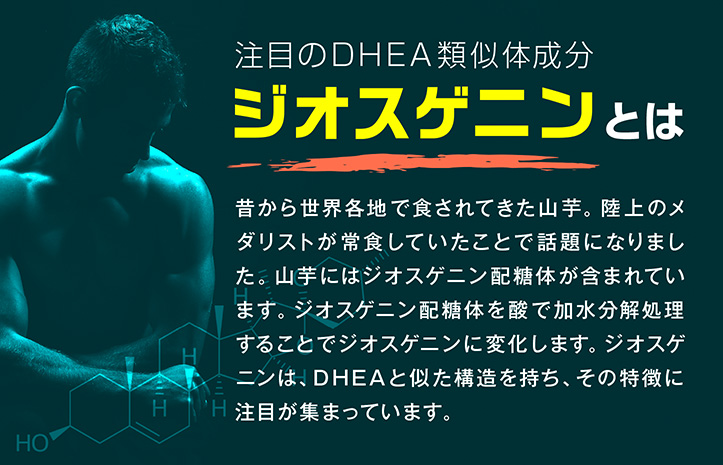 ジオス源90粒入り(6袋セット) ジオスゲニン サプリ サプリメント ヤマイモ抽出物 ブラックジンジャー 筋骨草エキス HMBカルシウム配合 約6ヶ月分