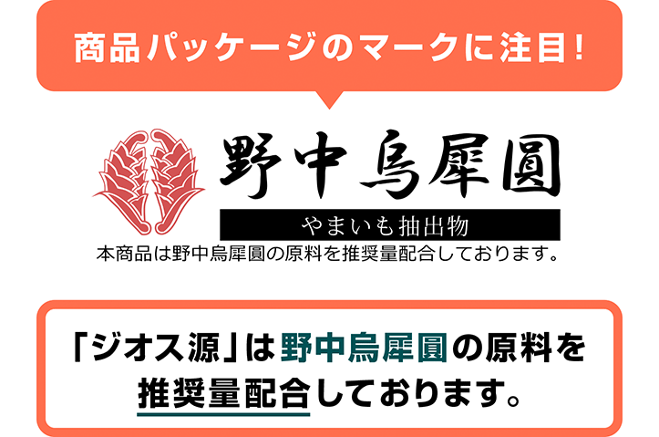 ジオス源90粒入り(6袋セット) ジオスゲニン サプリ サプリメント ヤマイモ抽出物 ブラックジンジャー 筋骨草エキス HMBカルシウム配合 約6ヶ月分