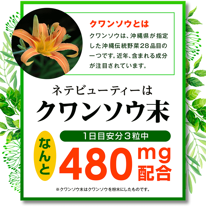 クワンソウとは クワンソウは、沖縄県が指定した沖縄伝統野菜28品目の一つです。近年、含まれる成分が注目されています。 ネテビューティーはクワンソウ末1日目安分3粒中なんと480mg配合