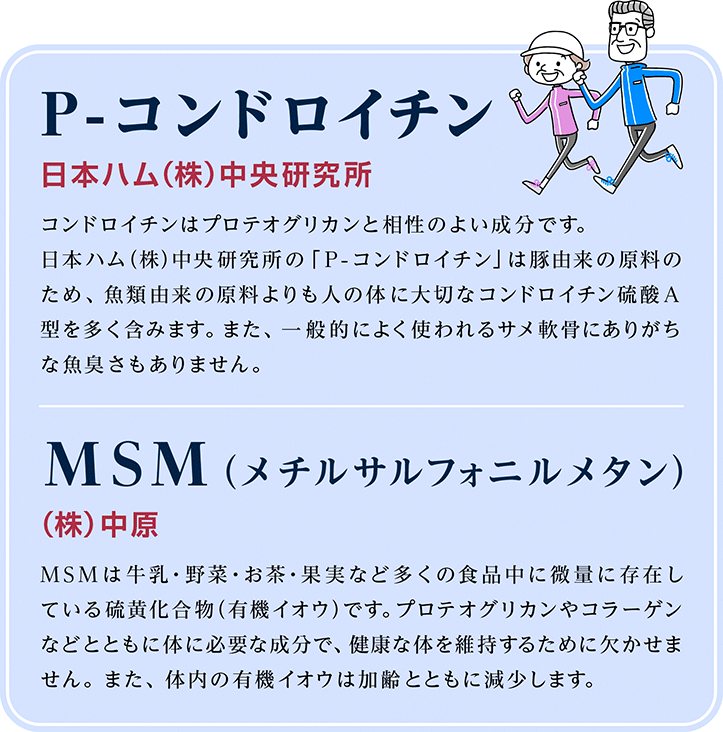 P-コンドロイチン 日本ハム(株)中央研究所 コンドロイチンは軟骨に存在するネバネバとした弾力成分で、ムコ多糖類の一種。日本ハム(株)中央研究所の「P-コンドロイチン」は豚由来の原料のため、魚類由来の原料よりも人の体に大切なコンドロイチン硫酸A型を多く含みます。また、一般的によく使われるサメ軟骨にありがちな魚臭さもありません。 MSM(メチルサルフォニルメタン) (株)中原 MSMは牛乳・野菜・お茶・果実など多くの食品中に微量に存在している硫黄化合物(有機イオウ)です。体内ではMSMの形で関節軟骨、皮膚、髪、爪に多く含まれています。体内の有機硫黄は加齢とともに減少します。