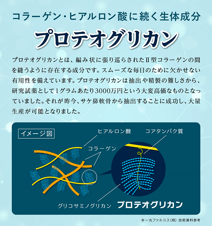 コラーゲン・ヒアルロン酸に続く生体成分 プロテオグリカン 軟骨の構成成分は、約70%が水分で、次にⅡ型コラーゲン、プロテオグリカンの順で多くを占めています。プロテオグリカンは、編み状に張り巡らされたⅡ型コラーゲンの間をぬうように存在し、極めて大きい保水力をもつことにより軟骨がその役割を果たすのに非常に重要な粘弾性といった物理特性を与えています。