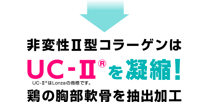 非変性Ⅱ型コラーゲンは UC-Ⅱを凝縮! 鶏の胸部軟骨を抽出加工