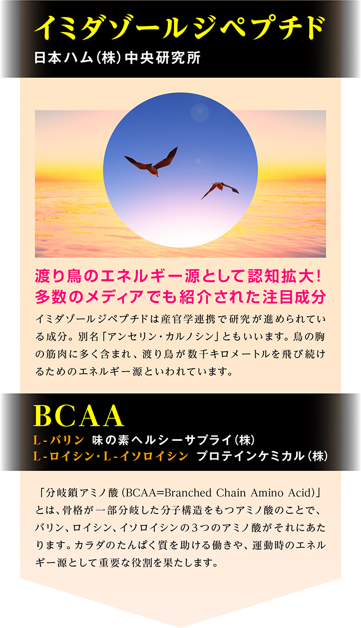 イミダゾールジペプチド アンセリン・カルノシン　日本ハム(株)中央研究所 渡り鳥のエネルギー源として認知拡大！多数のメディアでも紹介された注目成分 イミダゾールジペプチドは産官学連携で研究が進められている成分。別名「アンセリン・カルノシン」ともいいます。鳥の胸の筋肉に多く含まれ、渡り鳥が数千キロメートルを飛び続けるためのエネルギー源といわれています。 BCAA L-バリン 味の素ヘルシーサプライ(株) L-ロイシン・L-イソロイシン プロテインケミカル(株) 「分岐鎖アミノ酸（BCAA=Branched Chain Amino Acid）」とは、骨格が一部分岐した分子構造をもつアミノ酸のことで、バリン、ロイシン、イソロイシンの3つのアミノ酸がそれにあたります。カラダのたんぱく質を増やす働きや、運動時のエネルギー源として重要な役割を果たします。